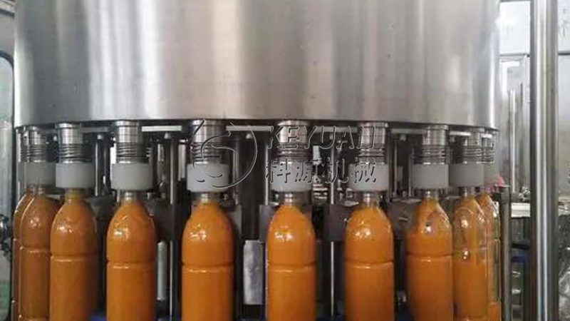 果蔬破碎机：解析其优缺点，助力选型决策